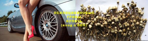каннабис Зеленокумск