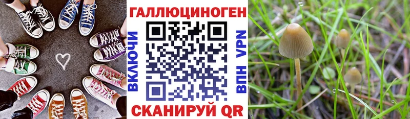 Купить Алушта Псилоцибиновые грибы мухоморы
