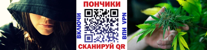 Бошки Шишки конопля  Купить закладки  Алушта 
